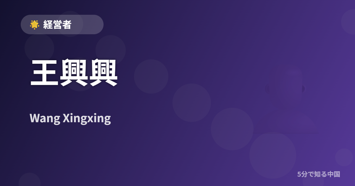王興興 (Wang Xingxing) - 経営者 イメージ画像